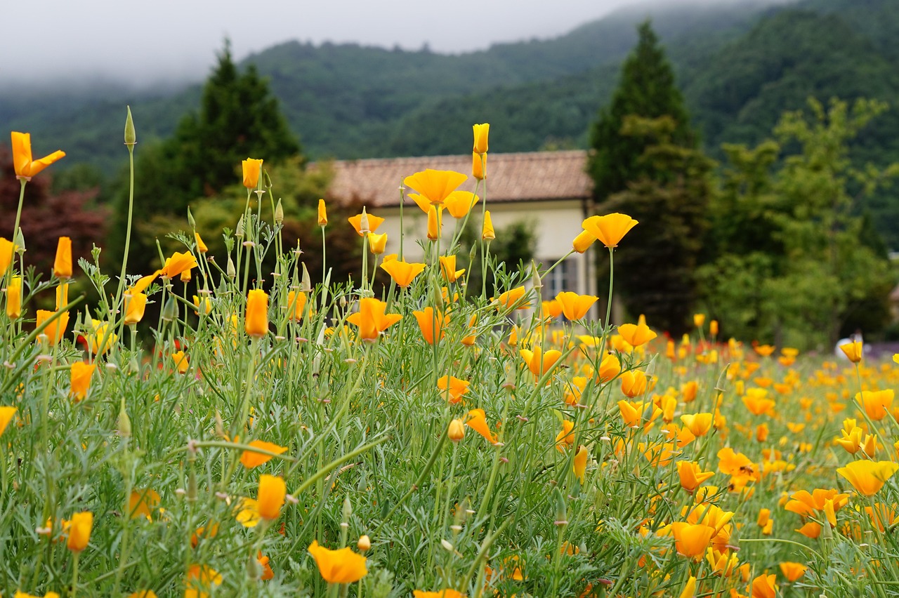 老版本爱喜爆珠：游戏堡app详情下载教程