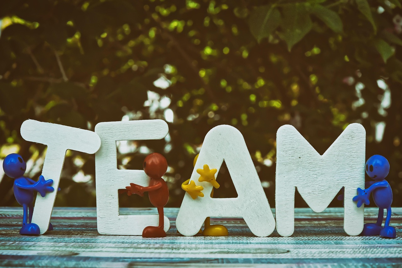 大摩建立全网营销的品牌