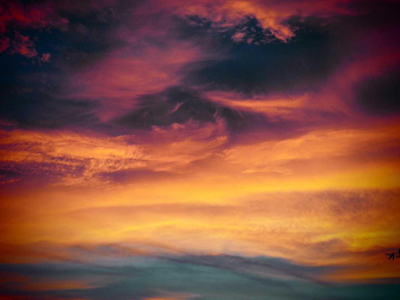 广州代理记账免费注册