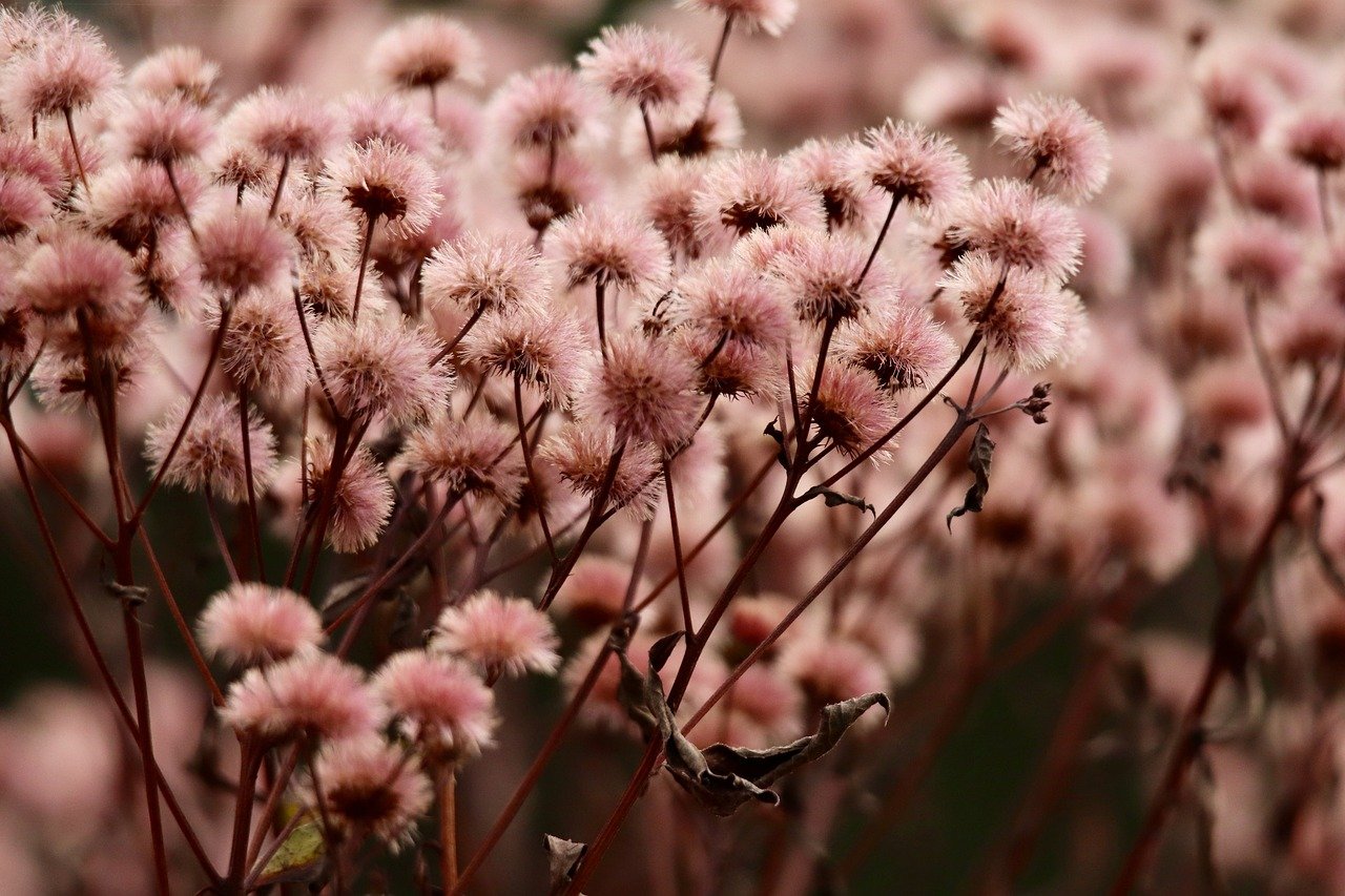 R2M:重燃战火(台服)：股票平台b仓代理